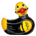 meinereiners Avatar