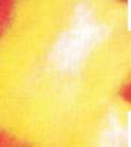 post-10487-1176653482_thumb.jpg