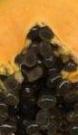 post-11840-1141659383_thumb.jpg