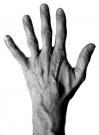 post-15888-1184968229_thumb.jpg