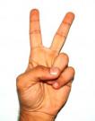 post-20264-1186226798_thumb.jpg