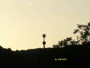 post-8-1090159717_thumb.jpg