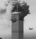 post-8-1101676408_thumb.jpg