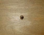 post-8-1109338181_thumb.jpg