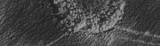 post-8-1109705257_thumb.jpg
