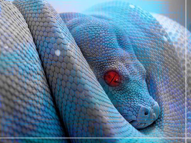 Snake 1024x768