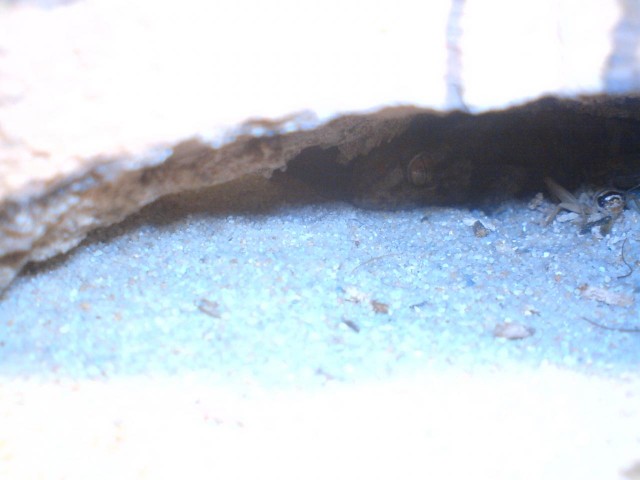 DSC00012.JPG