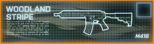 m16.jpg