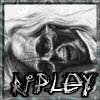 [AvT]Ripley
