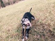 post-9523-0-29808100-1425472732_thumb.jp