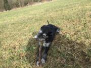 post-9523-0-97153300-1425472608_thumb.jp