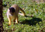 post-6948-0-01507000-1399897107_thumb.jp