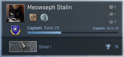 silver1.png.766a58dbfc9c05802e206f4d155e