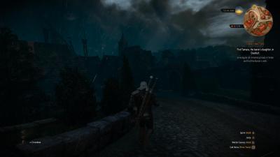 witcher3 2015-12-26 18-54-47-80.jpg