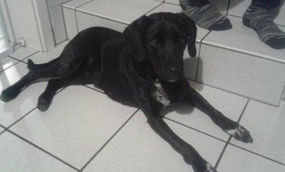 12642531_683358905100661_711651665582738