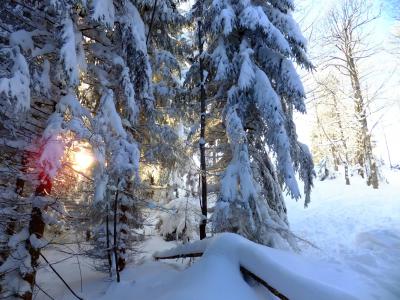 DSCF4535_0.thumb.jpg.b46d67e5ede277da19d