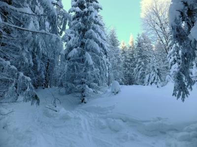 DSCF4536_1.thumb.JPG.50286f021ef5ca1048d