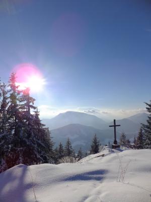 DSCF4537_2.thumb.JPG.5fee9afa7d78c251d67