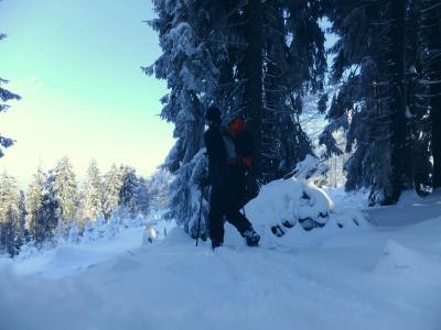 DSCF4538_3.thumb.JPG.8ad02cc093644cd4192