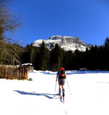 schi1.thumb.jpg.c2fd5e03b64bb307bbf4d955