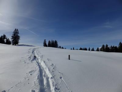 tour2.thumb.jpg.97b1a878763f4441ab7b33e1