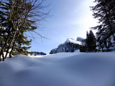 tour3.thumb.jpg.0771e427830368c74fb494a8