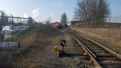 20160309_101642.thumb.jpg.19047c18ac2895