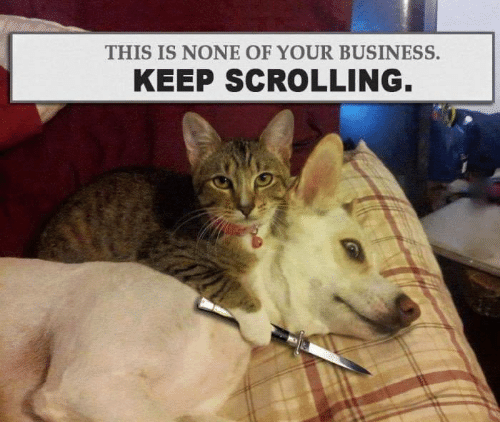 597f82806f26d_this-is-none-of-your-business-keep-scrolling-4183048(1).png.c9e16672f4486e66e5cb3c07b96f8199.png