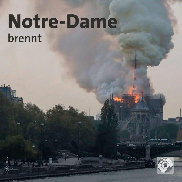 WhatsApp Image 2019-04-15 at 7.34.12 PM.jpeg