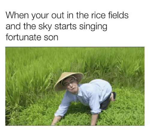 when-your-out-in-the-rice-fields-and-the-sky-39298214.png.1974ff0191b491923dc241648c94034d.png