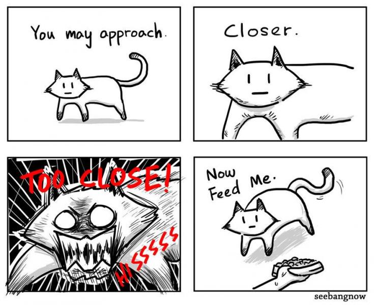 Cats-kidnapped-me-and-made-me-draw-comics-5a617514439fc-5a61a92889bd2__880.thumb.jpg.b9c92ecfd46aa7894458ed46770cff26.jpg