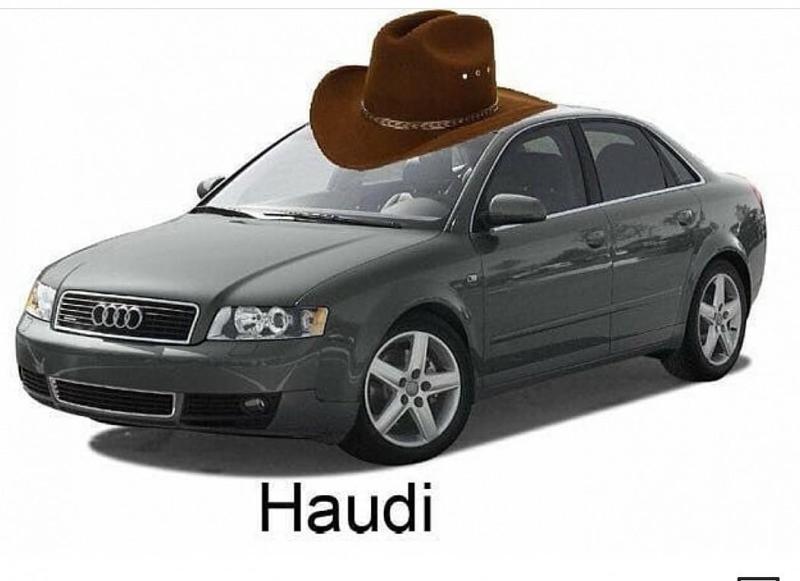 haudi.thumb.jpg.1b6ce731881856e2e4b1e4aede98b0b3.jpg
