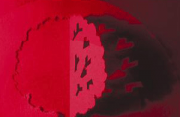 post-16379-1207685179_thumb.png
