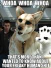 post-1840-1230988852_thumb.jpg