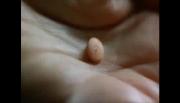 post-29034-1284548915_thumb.jpg