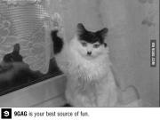 post-3250-0-87007900-1366034721_thumb.jp