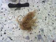 post-33448-0-95777800-1369155830_thumb.j