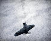 post-39910-0-38526800-1365177997_thumb.j