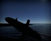 post-39910-0-82319300-1365169916_thumb.j