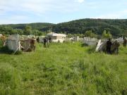 post-40739-0-19072300-1372374587_thumb.j