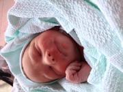 post-9286-0-38817600-1375773061_thumb.jp